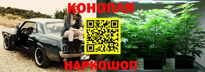a pvp Вязьма