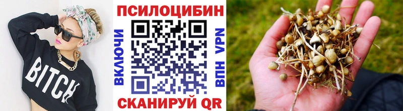 Псилоцибиновые грибы Magic Shrooms  mega маркетплейс  Владимир  магазин продажи  