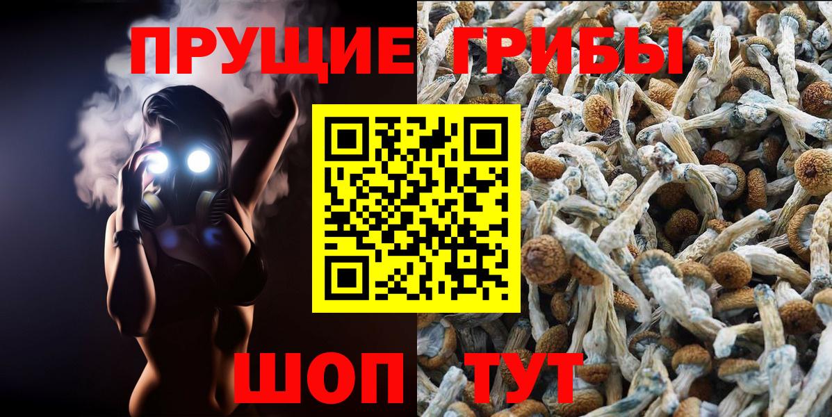Псилоцибиновые грибы мухоморы Владимир