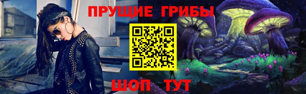 купить   Вход с VPN  Владимир  Псилоцибиновые грибы Psilocybine cubensis 